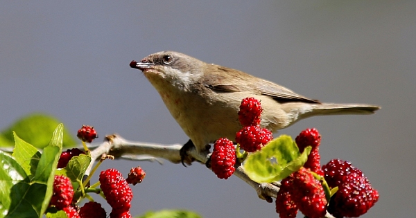 Merhum Hasan Yıldız'ın Objektifinden