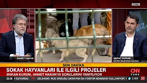 Bakan Kurum: Sokakta Olmalarının Hiç Bir Sakıncası Yok