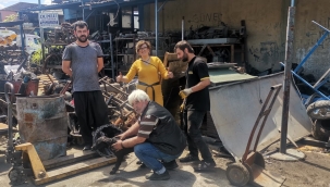 Günlerden mutluluk... Bir Can Daha Yuvasına Kavuştu!