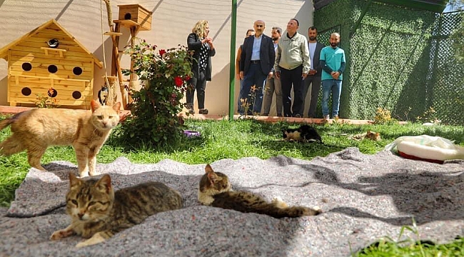 Mardin Valisi Demirtaş'tan Hayvan Barınağı Ziyareti