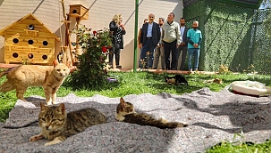 Mardin Valisi Demirtaş'tan Hayvan Barınağı Ziyareti