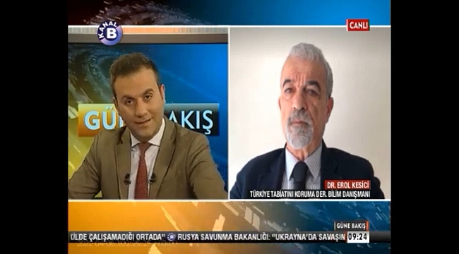 MÜSİLAJ, DENİZ SALYASI, SUYUN KANSERİ