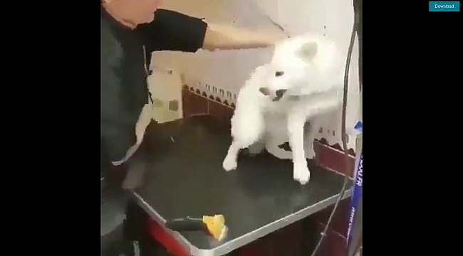 SEVGİ EN ETKİLİ İLAÇ..