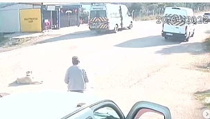 Sokak Canının Ezilme Anı Kameraya Takıldı