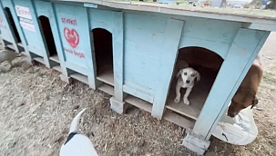 Bir insanlık örneği olarak, Sevpati