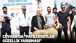 Ceyhan'da "Patili Dostlar Güzellik Yarışması" 