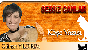 Editörümüz Gülhan Yıldırım'dan Koktaş'a yazılı teşekkür