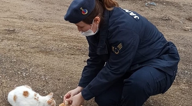 Günün En Güzel Fotosu