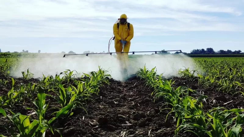 Pestisit, Gıda İhracatında İade Sebebi!