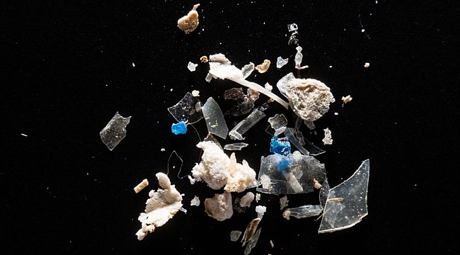 Sallama Çay Poşetlerinden Maskelere Kadar Hayatımız Mikro Plastiklerle Dolu!