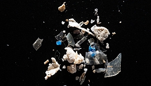 Sallama Çay Poşetlerinden Maskelere Kadar Hayatımız Mikro Plastiklerle Dolu!