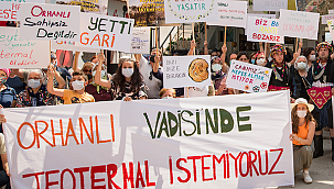  İzmir'de Davayı Zeytinler Kazandı