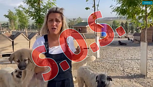 PATİLİ KÖY ACİL DESTEK BEKLİYOR!