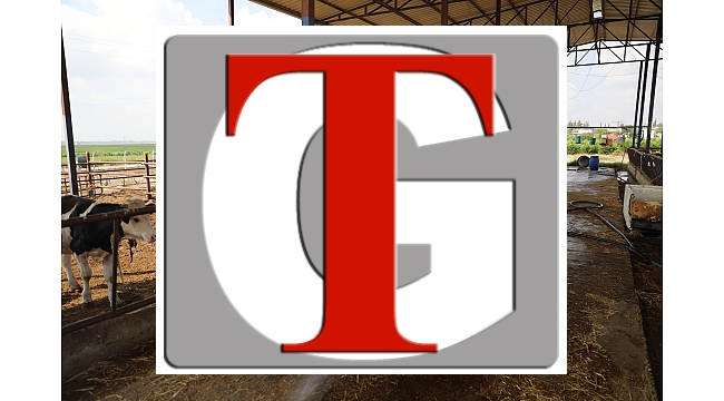 YÜREĞİR'DE VEKTÖRLE MÜCADELE ÇALIŞMASI 