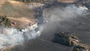 Adana Söğütlü'de Ormanlık Alanda Yangın
