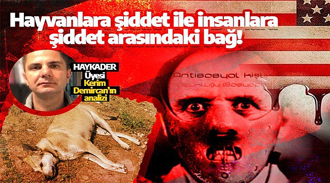 "Başıboş, çocuk, itperest" gibi kavramların kullanılmasındaki asıl gerçek! 