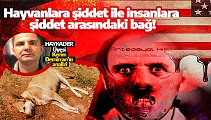 "Başıboş, çocuk, itperest" gibi kavramların kullanılmasındaki asıl gerçek! 