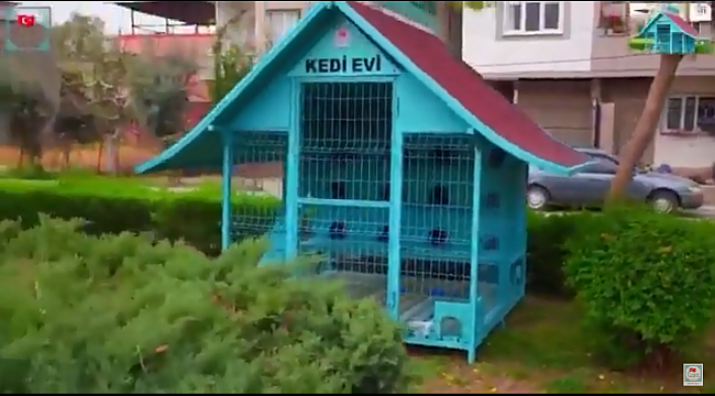 Kedilerin Rahat Ettiği İlçe: SARIÇAM