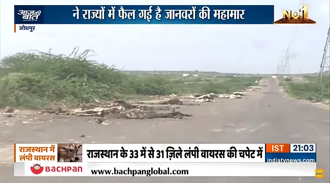 Hindistan'ta Binlerce İnek Ölüsü Bulundu!