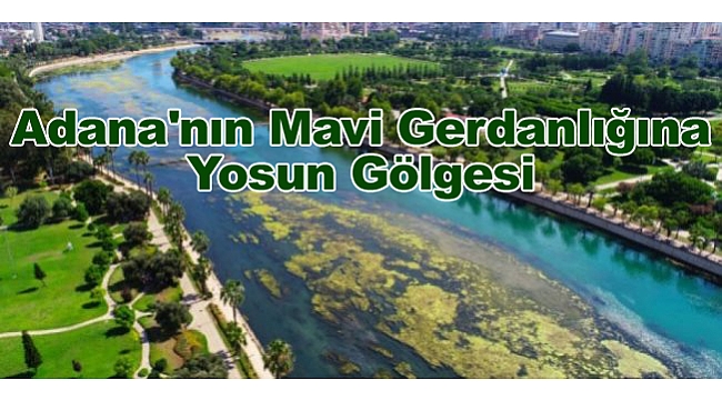 Geleneksel Yosun İstilası Şenlikleri Başladı(!)