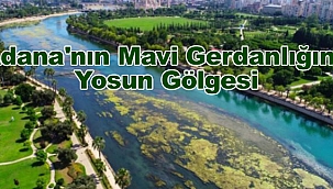 Geleneksel Yosun İstilası Şenlikleri Başladı(!)
