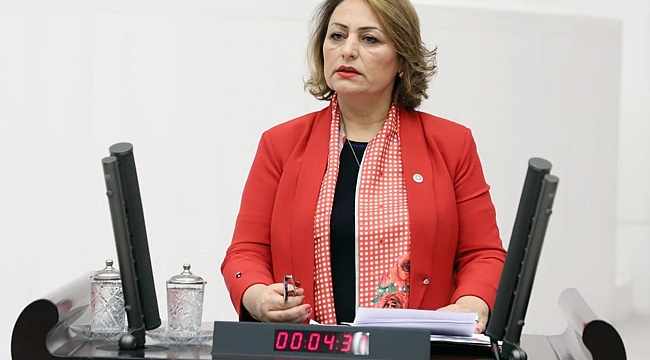 Ceyhan Nehri'ndeki balık ve arı ölümleri meclis gündeminde