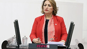 Ceyhan Nehri'ndeki balık ve arı ölümleri meclis gündeminde