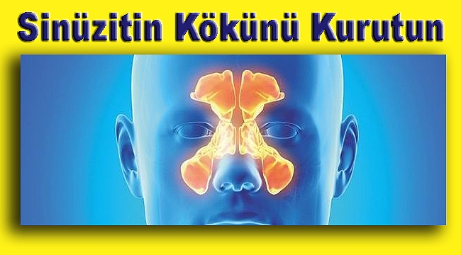 İbn-i Sînâ Reçesi: Sinüzitin Kökünü Kurutun!