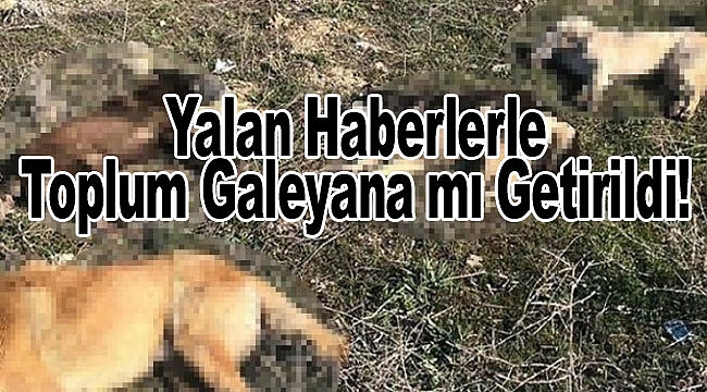 Nasıl Yani Keklendik mi?