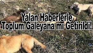 Nasıl Yani Keklendik mi?