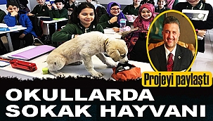 Tunay Demirtaş paylaştı: Her Okula Sokak Hayvanı 