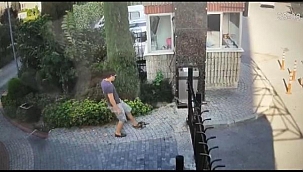 KÜÇÜKÇEKMECE'DEKİ KEDİ DÜŞMANI YİNE SAHNEDE