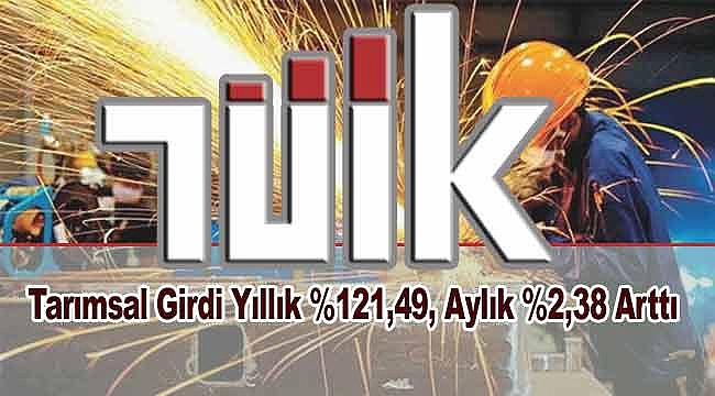 Tarımsal Girdi Fiyat Endeksi 