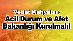 Afet ve acil durum bakanlığı kurulmalı