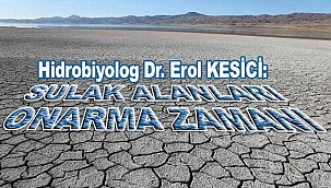 Sulak Alanları Onarma Zamanı