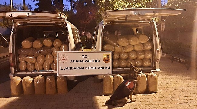 Ceyhan'da Kaçak Tütün ve Kenevir Ele Geçirildi