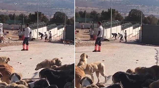 Merhamet Kavramı SOS Veriyor!