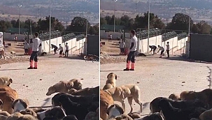 Merhamet Kavramı SOS Veriyor!