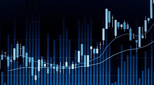 Canlı Dünya İstatistikleri