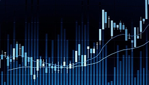 Canlı Dünya İstatistikleri