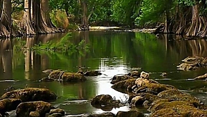 Bugün Dünya Çevre Günü 