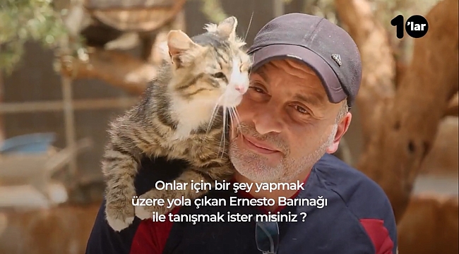 Suriye'de Bir Kedi Köyü