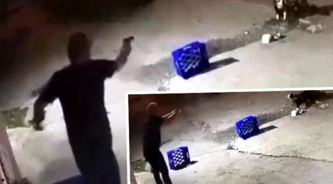 Sakarya'da vahşet! Bağlı köpeği 14 kurşunla öldürdü