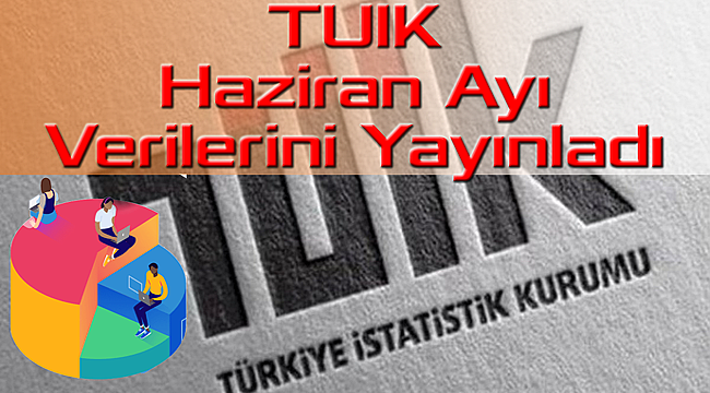 TUİK Haziran Ayı Veri İstatiklerini Yayınladı