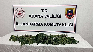 Uyuşturucuyla Mücadele Hız Kesmedi