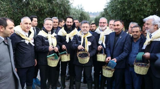 180 bin ton bekleniyordu! Bakan Yumaklı'dan zeytin hasadı açıklaması: Üretimimiz tüketimimize yeter vaziyette