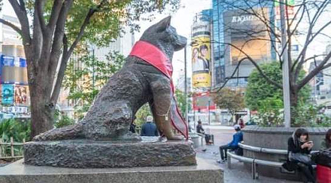 Bir Sadakat Örneği: HACHIKO