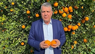 Adana Mv. Ayhan Barut, Tarım Bakanlığı'nı Narenciye konusunda uyardı