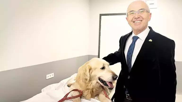 Veteriner Fakultesine Göre 400 Bin, İtlaf Lobisine Göre Milyonlarca