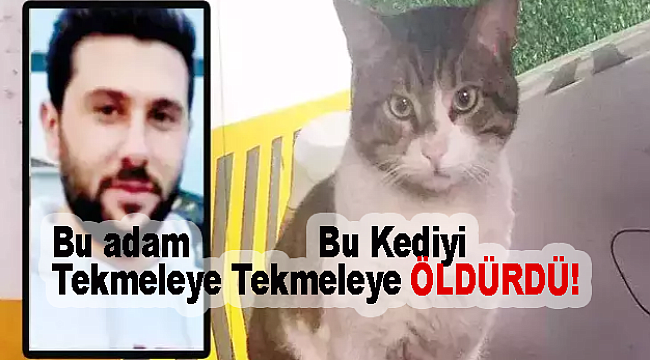 Türkiye bu vahşeti konuşuyor! Kedi Eros'un katili İbrahim Keloğlan'ın cezası belli oldu